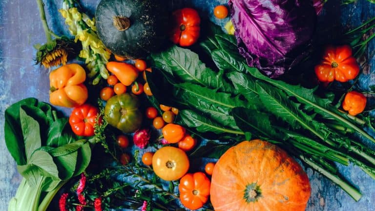 Nourish Your Body to Nourish Your Being: Chat with Terry Walters