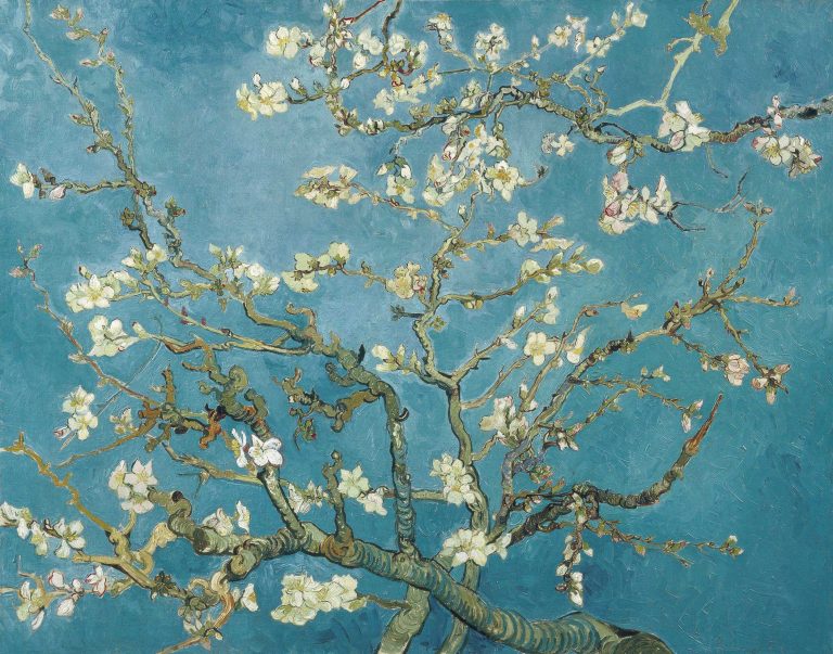 tree blossoms